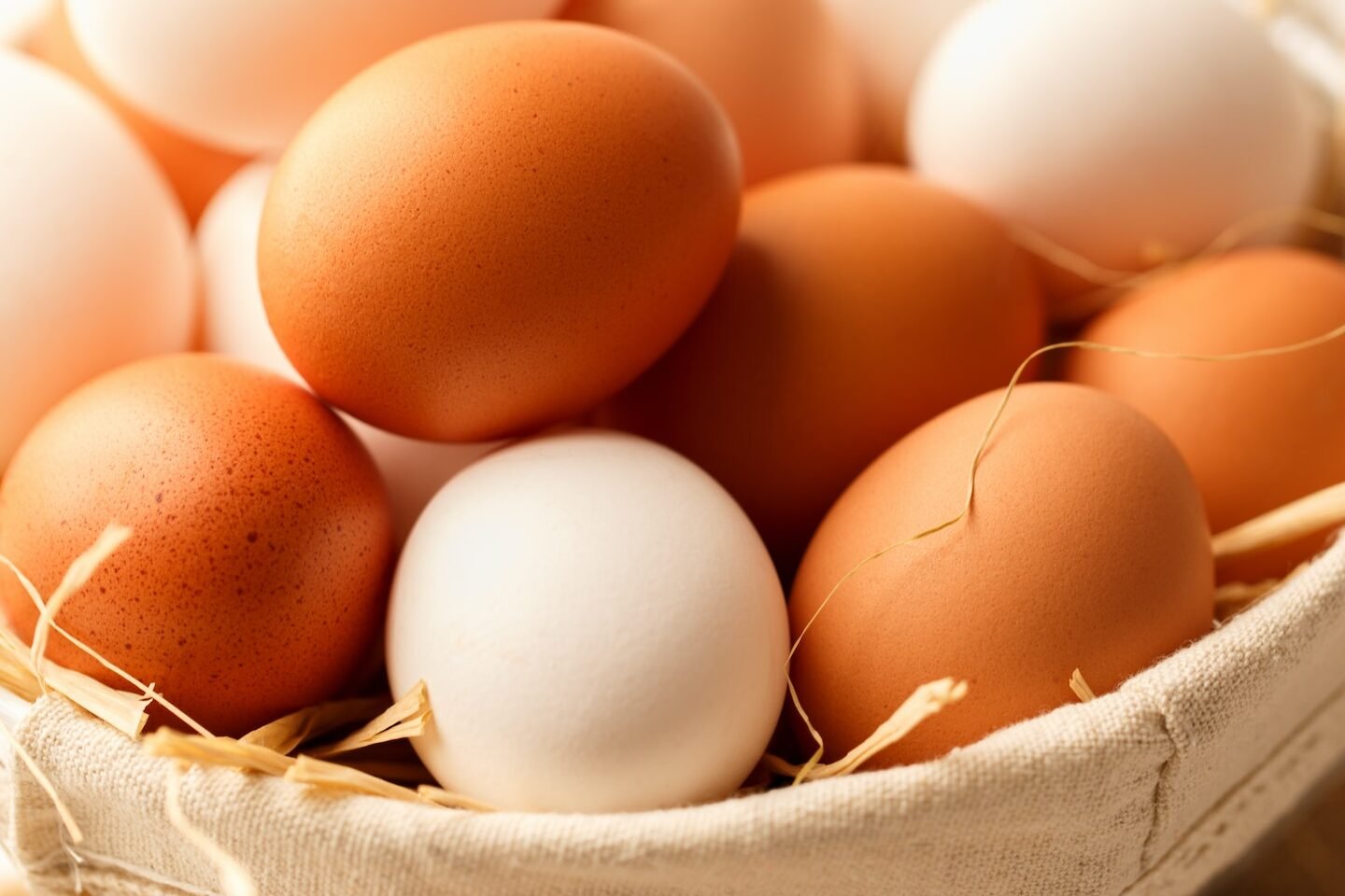 Eggs